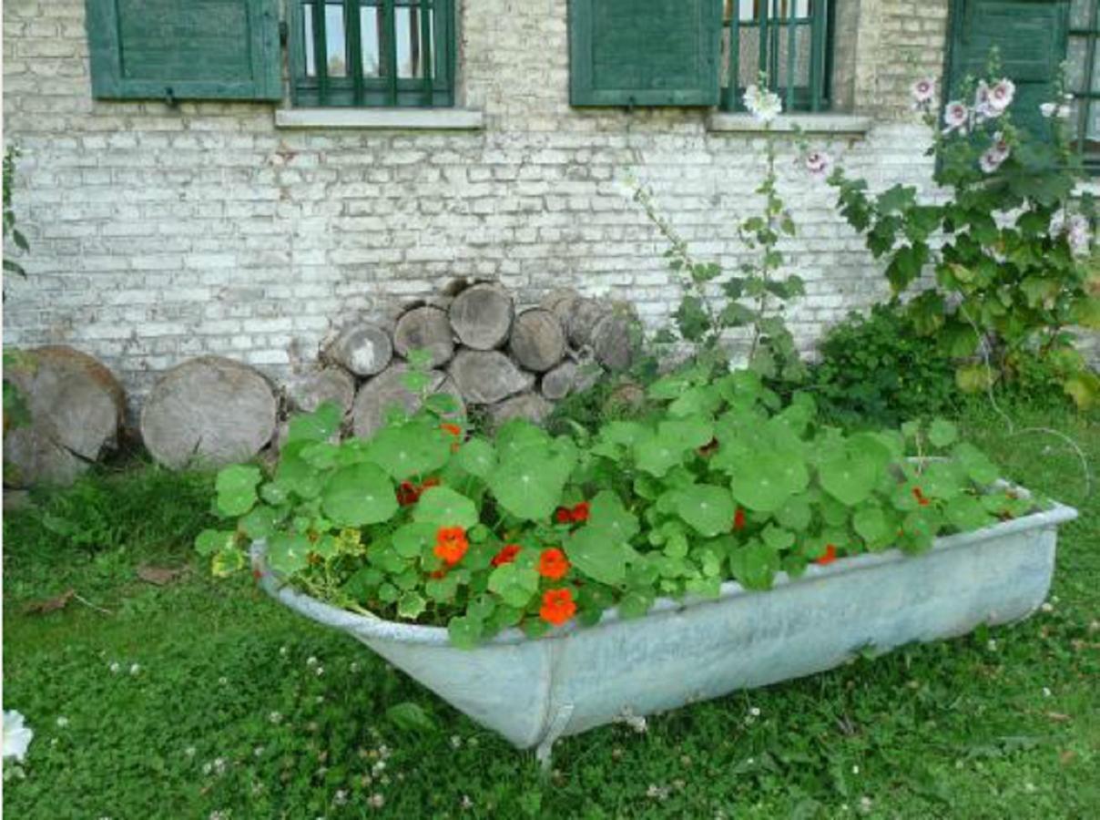 Bed and breakfast Manoir De Bois En Ardres Extérieur photo