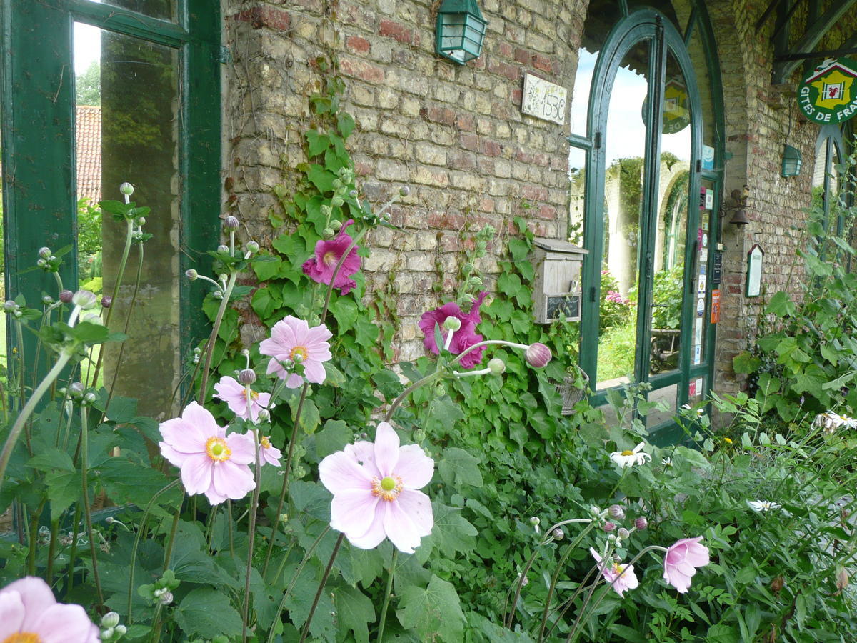 Bed and breakfast Manoir De Bois En Ardres Extérieur photo