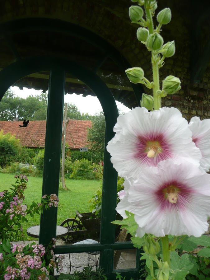 Bed and breakfast Manoir De Bois En Ardres Extérieur photo