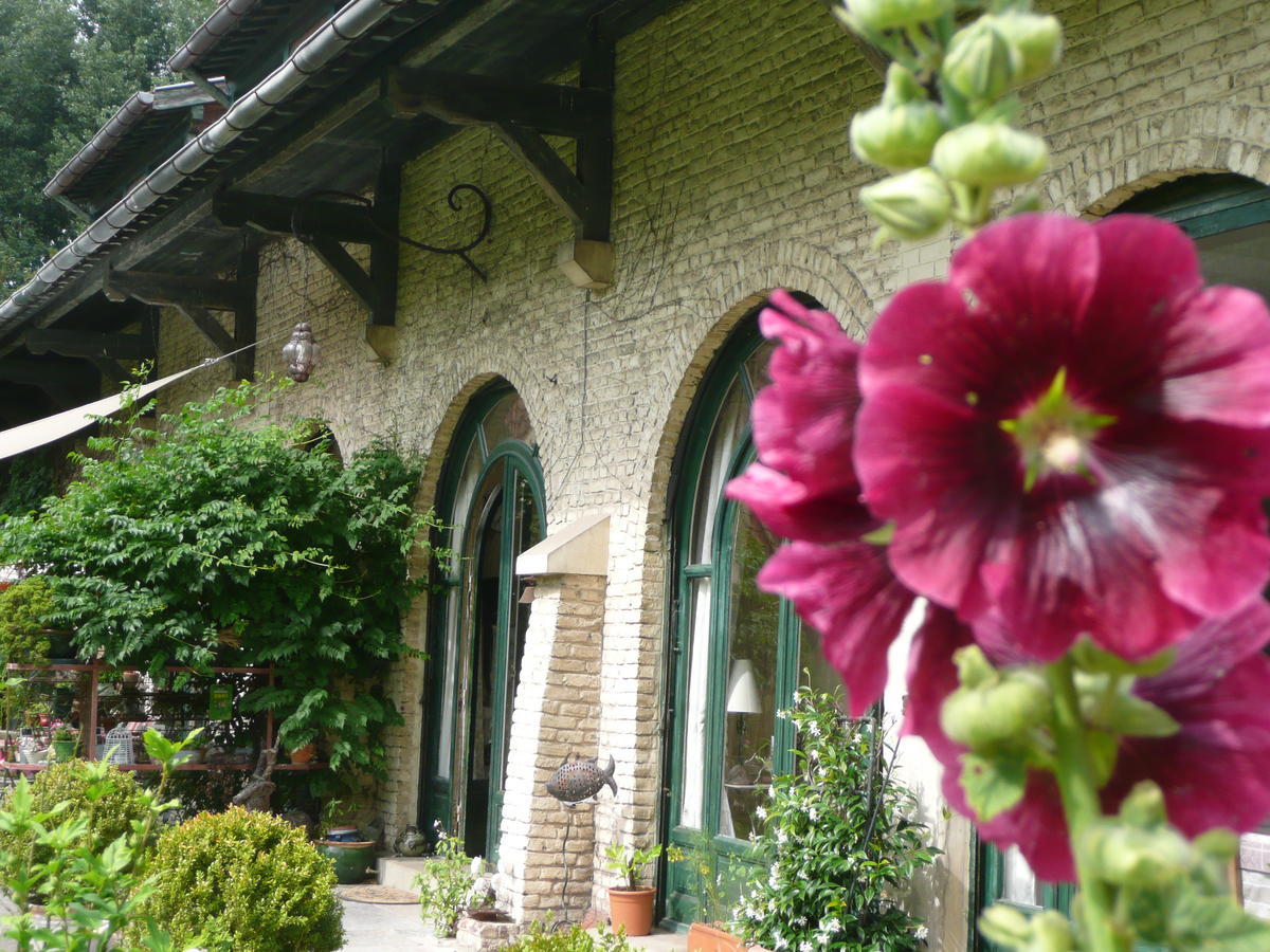 Bed and breakfast Manoir De Bois En Ardres Extérieur photo